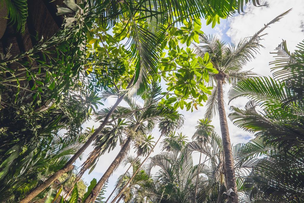 Pura Vida Hostel Tamarindo Eksteriør bilde
