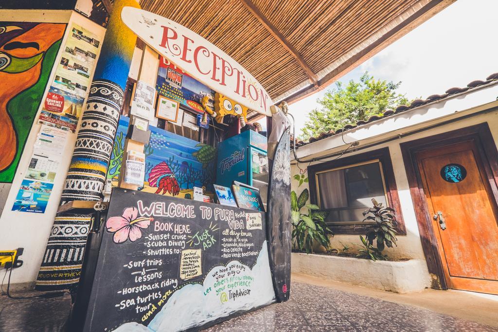 Pura Vida Hostel Tamarindo Eksteriør bilde